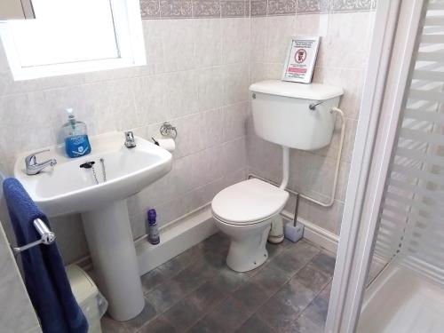 Ένα μπάνιο στο Kingfisher Cottage Newcastle Emlyn