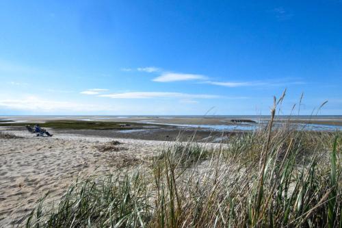a sandy beach with a view of the ocean at Water Views Walk to Beach Dogs Welcome in Brewster