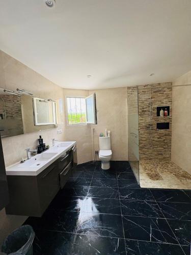 une salle de bain avec un lavabo, des toilettes et une douche dans l'établissement Maison-Calme & Nature-Proche Sarlat, à Vézac