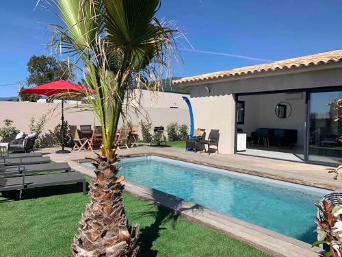 un palmier en face d'une maison avec piscine dans l'établissement Corsica Suttana Vacanze, à Lecci