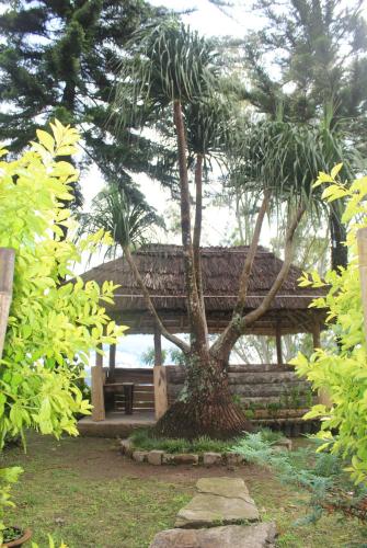 a tree in front of a building with a bench at Silent Echo Farm Stay in Māngwa