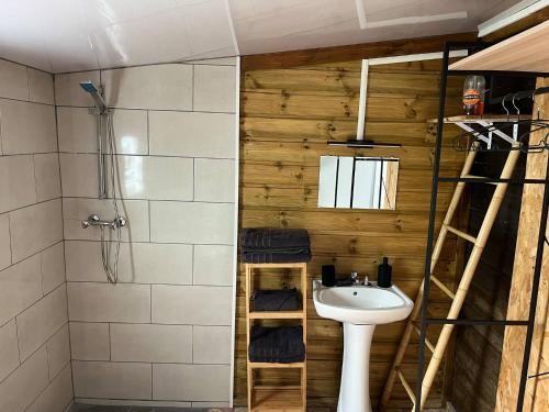 a bathroom with a sink and a shower with a ladder at Studio Au Coeur de Grand Ilet - Chez Tania! in Salazie