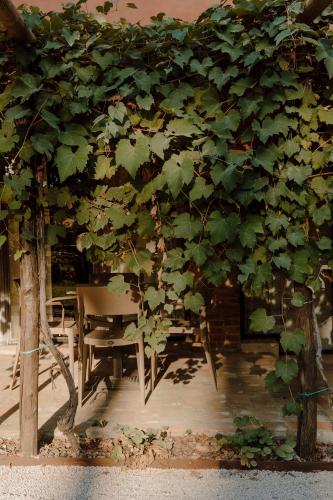 Φωτογραφία από το άλμπουμ του Borgo Dolciano σε Chiusi