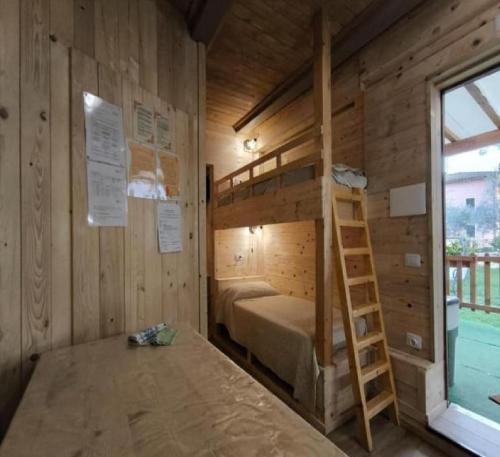 a bunk bed in a wooden room with a ladder at LE CERQUE in Spoleto