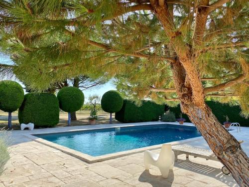 - une piscine dans une cour avec un arbre dans l'établissement Château Gigault, à Mazion