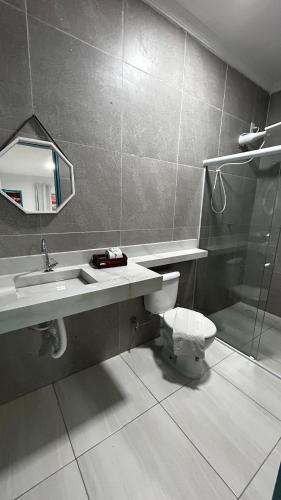 a bathroom with a toilet and a sink and a mirror at Pousada Villa Mar Porto in Porto De Galinhas