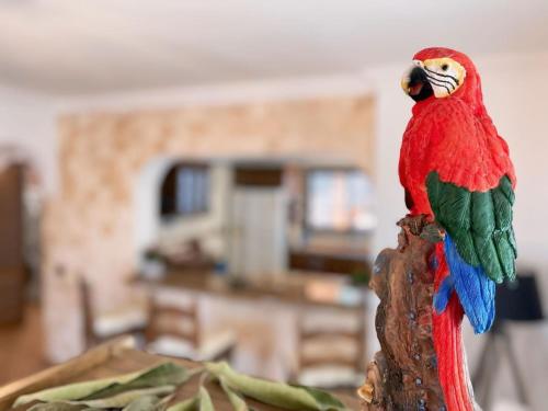 a red and green parrot sitting on a branch at Villa MarySol in Sauzal