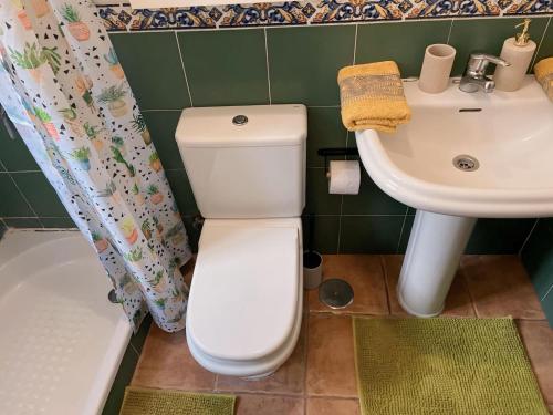 a bathroom with a toilet and a sink at Villa MarySol in Sauzal