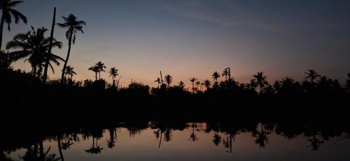 a sunset with palm trees and a body of water at The Pearl Munro in Munroe Island