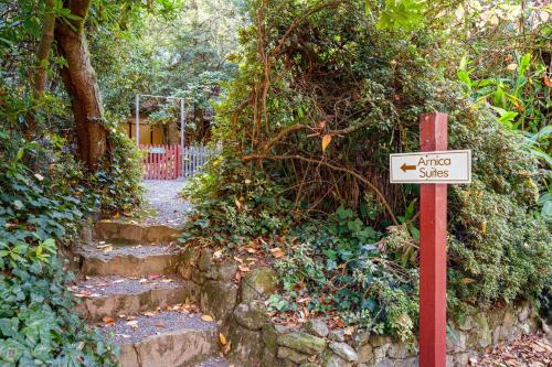 Κήπος έξω από το Arnica Views Summit Retreat