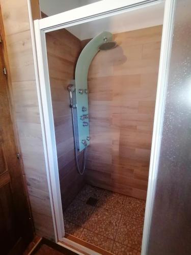 a shower in a bathroom with a wooden wall at Kuća za odmor DRAVA LIFE in Molve