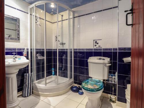 une salle de bains avec douche, toilettes et lavabo dans l'établissement Hafoty Boeth Cottage, à Corwen