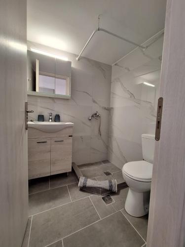 a bathroom with a toilet and a sink at Aegean Traditional Suite Ιn Glinado in Glinado Naxos