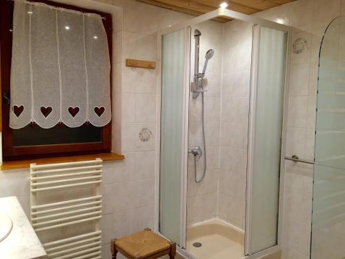 une salle de bain avec une douche avec une porte vitrée dans l'établissement Charmant 3 pièces, 6 personnes, Sud, près télésiège, WiFi, animaux OK, parking, Valloire - FR-1-263-391, à Valloire