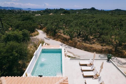 an aerial view of a swimming pool on a house at Angel Villa Zante in Lithakia