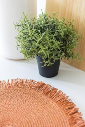 a potted plant sitting on a table next to a rug at Charming place near the beach Casa Checha in Candelaria
