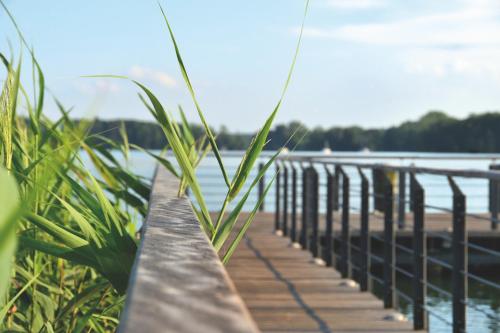 a wooden dock next to a body of water at Ferienwohnung Renate in der Villa Seeblick in Bad Saarow