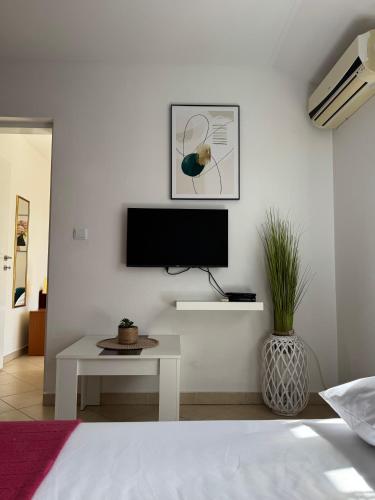 Una televisión o centro de entretenimiento en Apartments TM