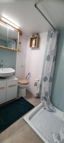 une salle de bain avec un lavabo et un rideau de douche dans l'établissement Ema Cottage, à Montjean