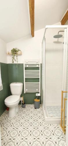 une salle de bain avec toilettes et douche dans l'établissement Les Hortensias à ST GILLES VIEUX MARCHE WIFI NETFLIX CALME, à Saint-Gilles-du-Vieux-Marché