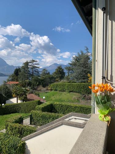 a vase of flowers on a balcony with a view at KG Lierna Lake View in Lierna