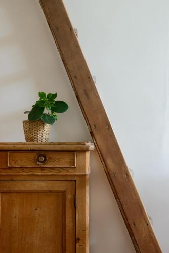 a potted plant sitting on top of a wooden table at Cocon provençal dans le centre historique in Aix-en-Provence
