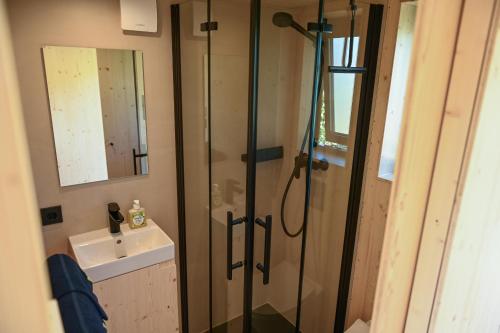 a shower with a glass door next to a sink at Green Tiny Spot Salemer See - Tiny House Nook 5 in Salem