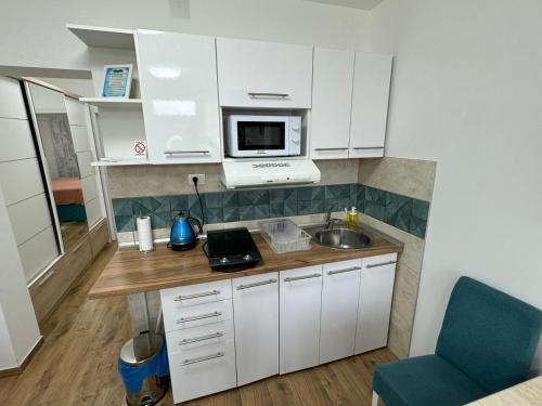 une petite cuisine avec un évier et un micro-ondes dans l'établissement Vila Kraljica 2- apartman 9, à Bukorovac