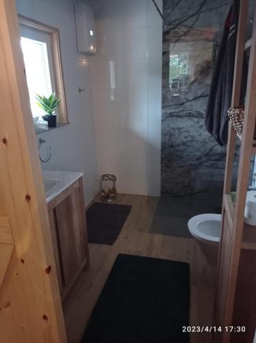 ein Badezimmer mit Dusche, Waschbecken und Toilette in der Unterkunft Domek BOHO in Rydzewo