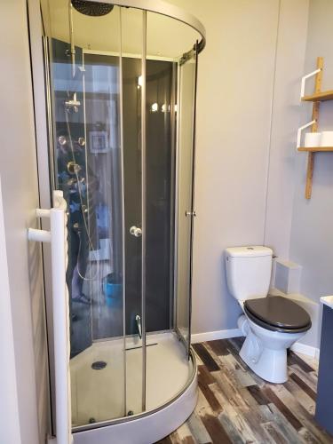 une salle de bain avec douche et toilettes dans l'établissement La Bastille 1, à Saintes