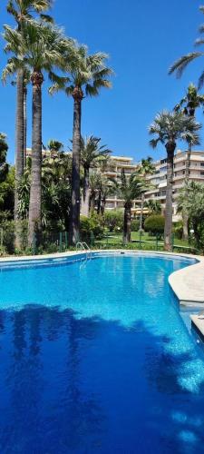 une grande piscine bleue bordée de palmiers dans l'établissement Superbes prestations terrasse piscine mer 350L, à Cannes