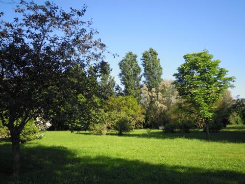 a field of green grass with trees in the background at Holiday Home Giaron in Rosolina