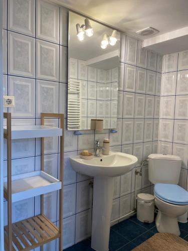 un bagno con lavandino, WC e specchio di Pensiunea La Plai - Oază de Relaxare a Plaiu Şarului