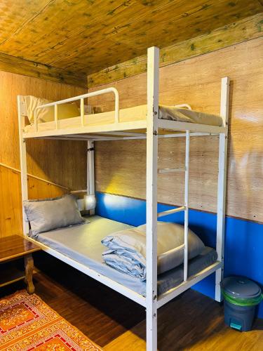 two bunk beds in a room with a wooden wall at Sharda House in Manāli