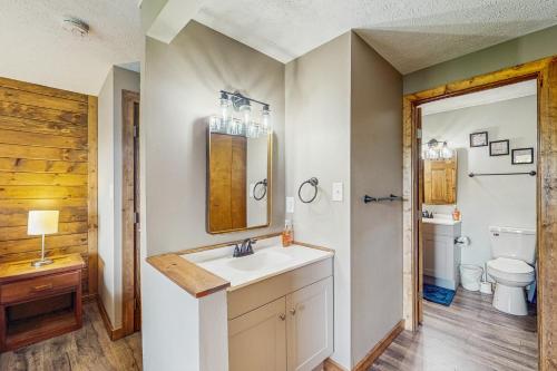 a bathroom with a sink and a toilet at Ski Cove #2 in McHenry