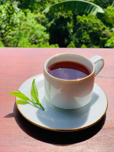 a cup of tea on a plate on a table at Liana Guest House Ella in Ella