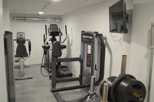 - une salle de sport avec plusieurs appareils d'exercice dans l'établissement Luxury loft with a gym, à Saint-Étienne