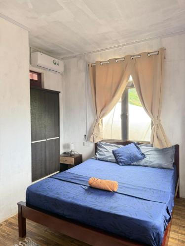 a bedroom with a blue bed with a window at Ermitage Holiday Home in Rodrigues Island