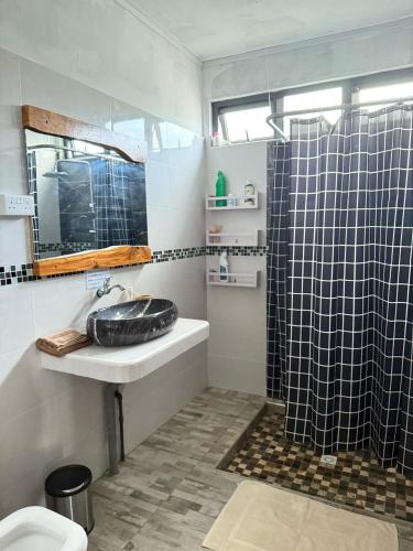 a bathroom with a sink and a shower at Ermitage Holiday Home in Rodrigues Island
