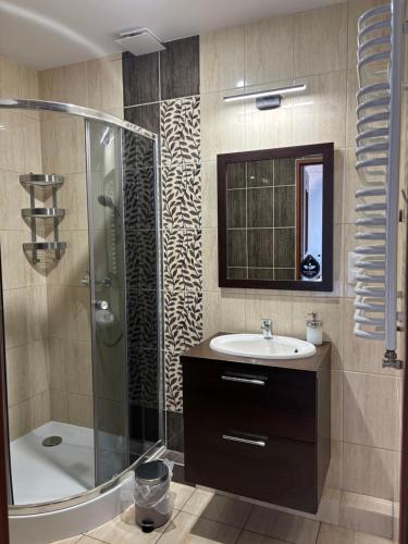 une salle de bain avec une douche, un lavabo et une baignoire dans l'établissement Doboszowka, à Lasowka