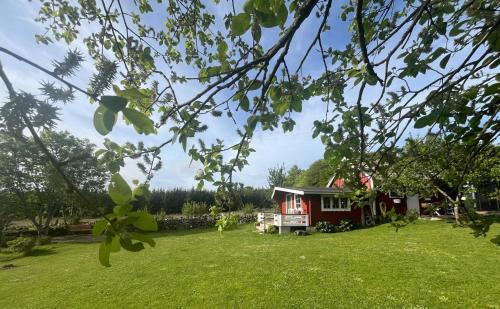 a red house in a yard with a green lawn at Naturnära Fritidsboende, Tomtebo - YinTorp in Arkelstorp