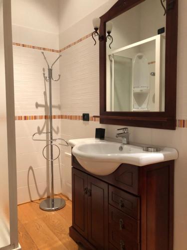 une salle de bain avec lavabo et douche dans l'établissement La Casa del Pettirosso, à Bagnacavallo