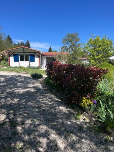 une maison avec des buissons rouges devant une allée dans l'établissement Cosy Cottage on the Lake, à Écuras