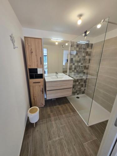 une salle de bain avec un lavabo et une douche dans l'établissement Chez Paul et Corinne Appartement Propriano, à Propriano