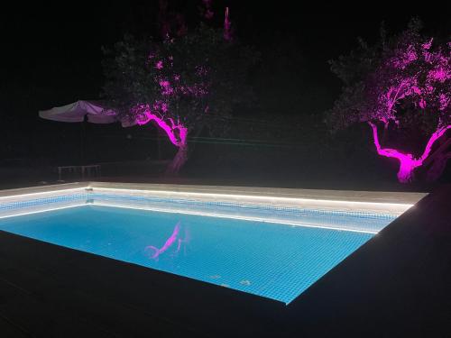 a swimming pool at night with purple lights at Villa Maria in Marano Principato