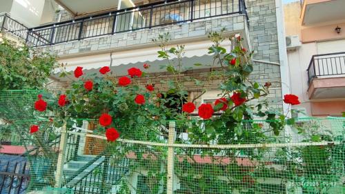 Lovely maison house 50m from the beach at Nea Flogita