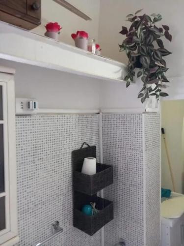 a bathroom with a toilet and a plant on the wall at Modern Studio in Catania with Air Conditioning in Catania