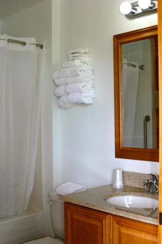 a bathroom with a sink and a toilet and a mirror at Denali Grizzly Bear Resort in McKinley Park