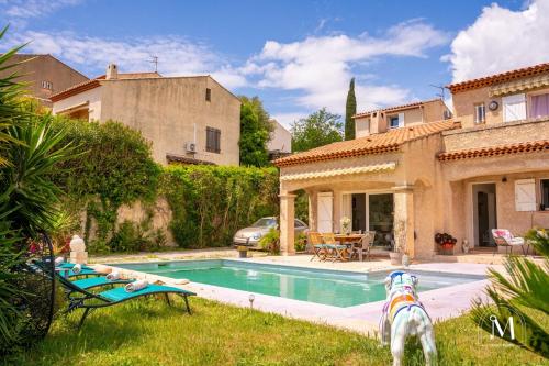 un chien debout à côté d'une piscine dans une cour dans l'établissement Maison avec piscine au calme à Sanary-sur-Mer, à Sanary-sur-Mer