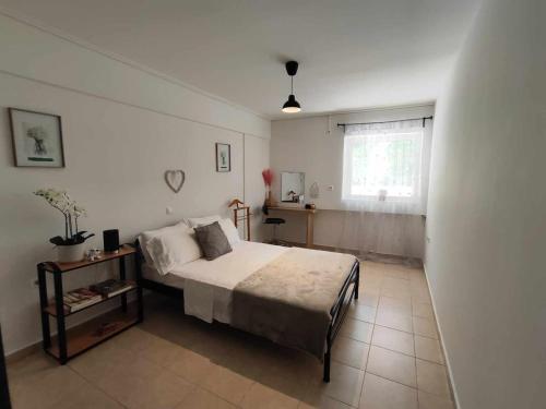 Charming Flat in Central Athens